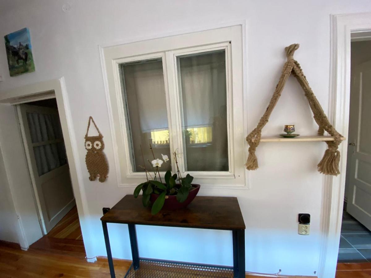 Home Of Art Rîşnov Exteriér fotografie