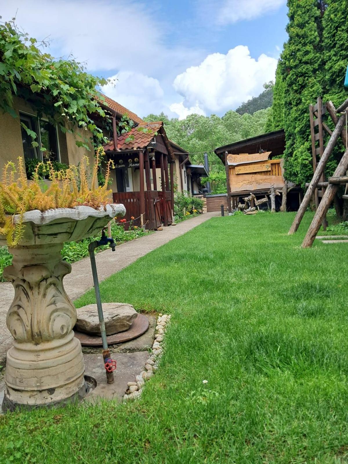 Home Of Art Rîşnov Exteriér fotografie